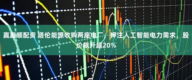 赢赢顺配资 塔伦能源收购两座电厂，押注人工智能电力需求，股价飙升超20%